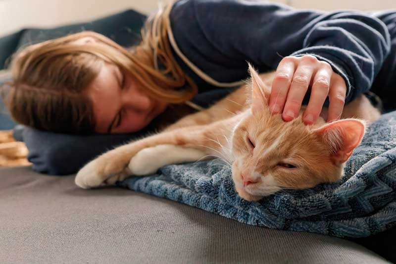a person lying on a couch petting a cat